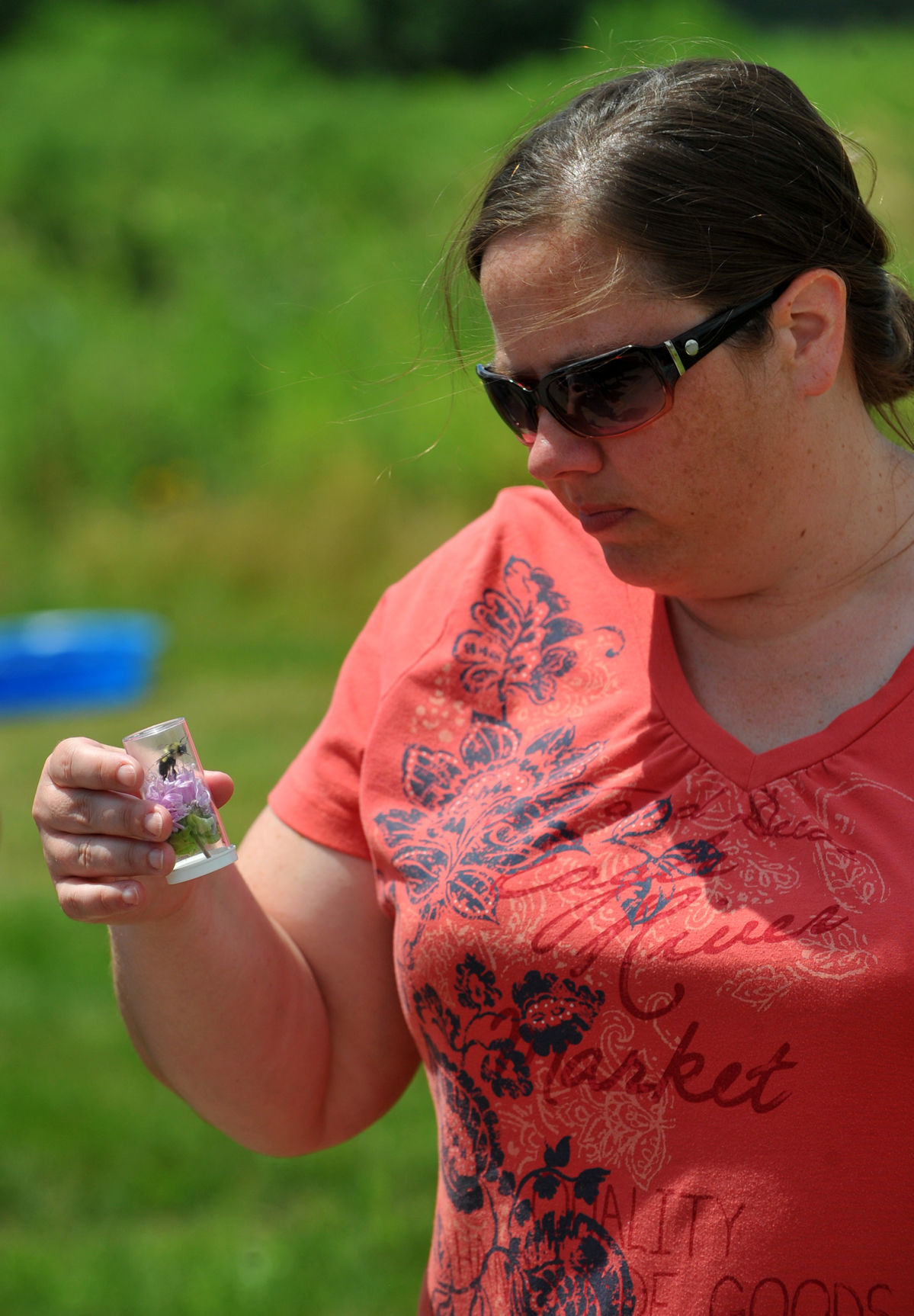 Summer Agriculture Institute tour of Nahant Marsh.
